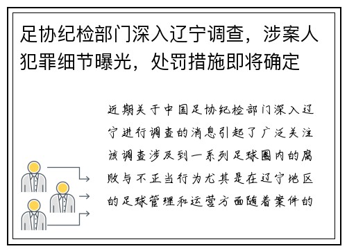 足协纪检部门深入辽宁调查，涉案人犯罪细节曝光，处罚措施即将确定